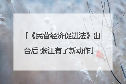 《民营经济促进法》出台后 张江有了新动作