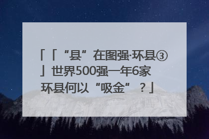 「“县”在图强·环县③」世界500强一年6家 环县何以“吸金”？