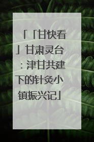 「甘快看」甘肃灵台：津甘共建下的针灸小镇振兴记