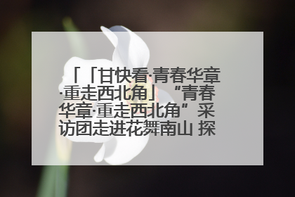 「甘快看·青春华章·重走西北角」“青春华章·重走西北角”采访团走进花舞南山 探寻天水乡村振兴之路