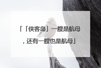 「侠客岛」一艘是航母，还有一艘也是航母