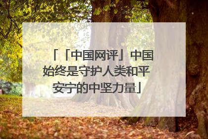 「中国网评」中国始终是守护人类和平安宁的中坚力量