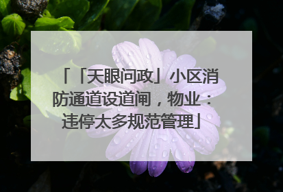 「天眼问政」小区消防通道设道闸，物业：违停太多规范管理