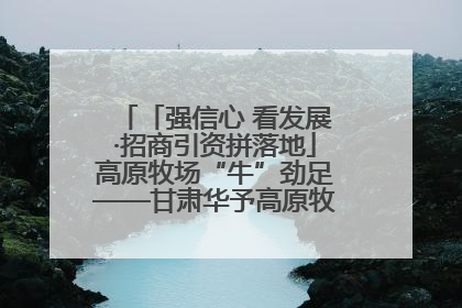 「强信心 看发展·招商引资拼落地」高原牧场“牛”劲足——甘肃华予高原牧场高标准奶牛肉牛养殖项目一线见闻