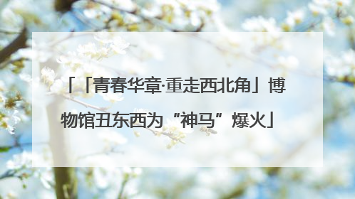 「青春华章·重走西北角」博物馆丑东西为“神马”爆火