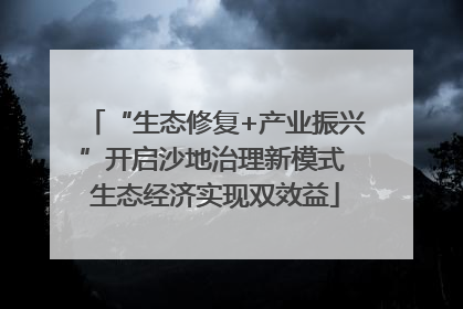 “生态修复+产业振兴”开启沙地治理新模式 生态经济实现双效益