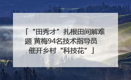 “田秀才”扎根田间解难题 黄梅94名技术指导员催开乡村“科技花”