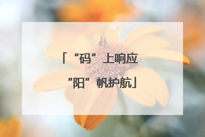 “码”上响应 “阳”帆护航