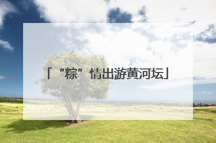 “粽”情出游黄河坛