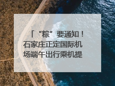 “粽”要通知！石家庄正定国际机场端午出行乘机提示，快来get