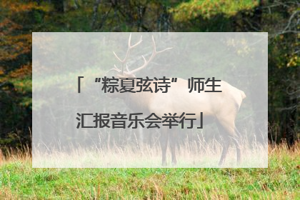 “粽夏弦诗”师生汇报音乐会举行