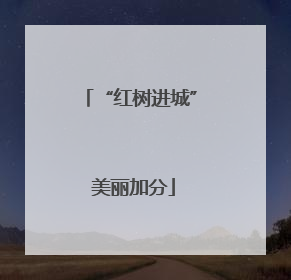 “红树进城” 美丽加分