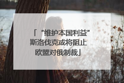 “维护本国利益” 斯洛伐克或将阻止欧盟对俄制裁