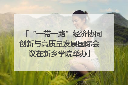 “一带一路”经济协同创新与高质量发展国际会议在新乡学院举办