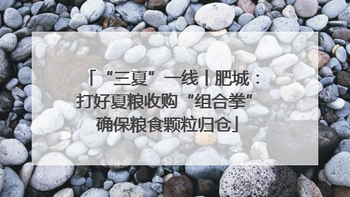 “三夏”一线丨肥城：打好夏粮收购“组合拳” 确保粮食颗粒归仓