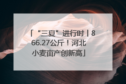 “三夏”进行时丨866.27公斤！河北小麦亩产创新高