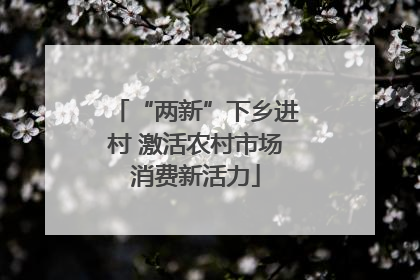“两新”下乡进村 激活农村市场消费新活力