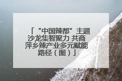 “中国辣都”主题沙龙集智聚力 共商萍乡辣产业多元赋能路径（图）