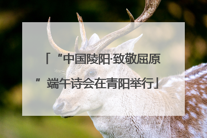 “中国陵阳·致敬屈原”端午诗会在青阳举行