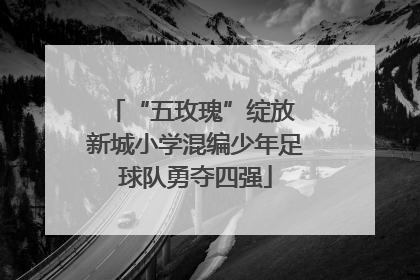 “五玫瑰”绽放 新城小学混编少年足球队勇夺四强