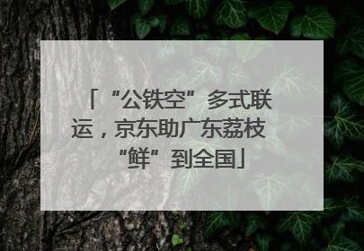 “公铁空”多式联运，京东助广东荔枝“鲜”到全国