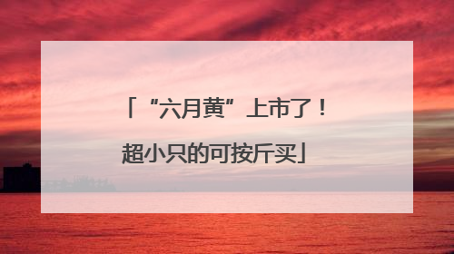 “六月黄”上市了！超小只的可按斤买