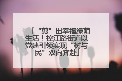 “剪”出幸福绿荫生活！控江路街道以党建引领实现“树与民”双向奔赴