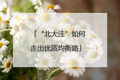 “北大洼”如何走出优质均衡路