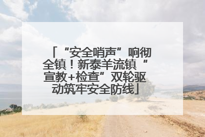 “安全哨声”响彻全镇！新泰羊流镇“宣教+检查”双轮驱动筑牢安全防线
