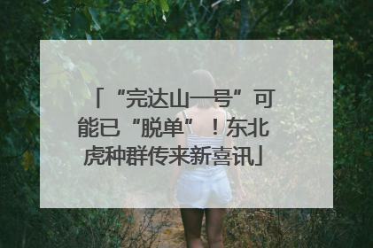 “完达山一号”可能已“脱单”！东北虎种群传来新喜讯