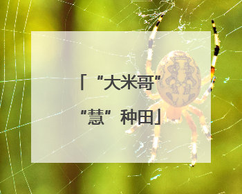 “大米哥”“慧”种田