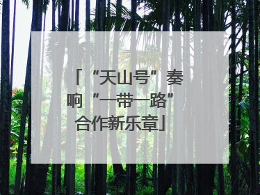 “天山号”奏响“一带一路”合作新乐章