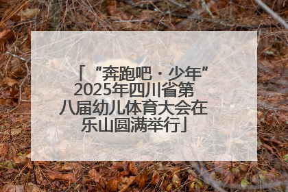 “奔跑吧・少年”2025年四川省第八届幼儿体育大会在乐山圆满举行