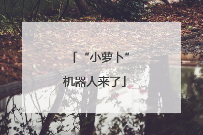 “小萝卜”机器人来了
