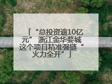 “总投资逾10亿元” 浙江金华婺城这个项目精准强链“火力全开”