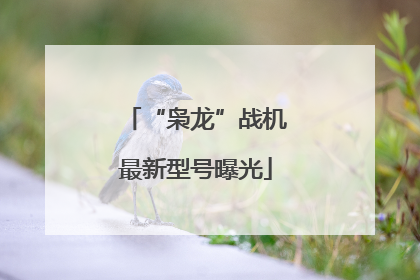 “枭龙”战机最新型号曝光