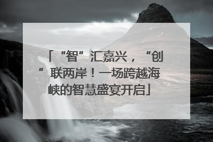 “智”汇嘉兴，“创”联两岸！一场跨越海峡的智慧盛宴开启