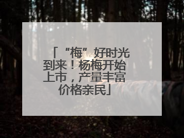 “梅”好时光到来！杨梅开始上市，产量丰富价格亲民