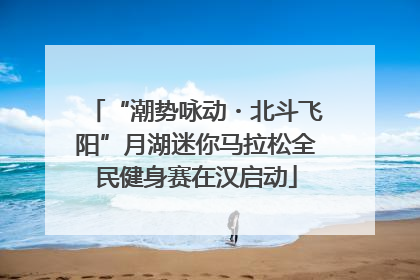 “潮势咏动・北斗飞阳”月湖迷你马拉松全民健身赛在汉启动