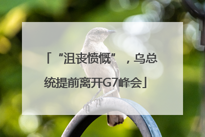 “沮丧愤慨”，乌总统提前离开G7峰会
