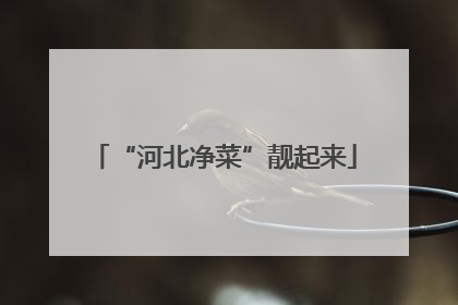 “河北净菜”靓起来