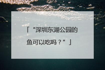 “深圳东湖公园的鱼可以吃吗？”