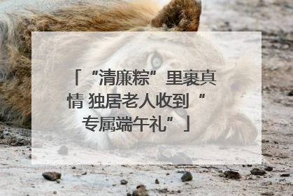 “清廉粽”里裹真情 独居老人收到“专属端午礼”