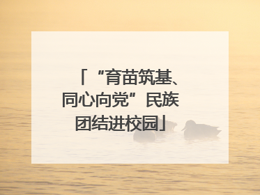 “育苗筑基、同心向党”民族团结进校园