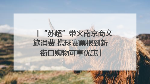“苏超”带火南京商文旅消费 携球赛票根到新街口购物可享优惠