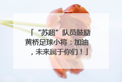 “苏超”队员鼓励黄桥足球小将：加油，未来属于你们！
