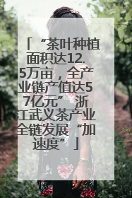“茶叶种植面积达12.5万亩，全产业链产值达57亿元” 浙江武义茶产业全链发展“加速度”