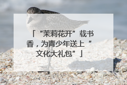 “茉莉花开”载书香，为青少年送上“文化大礼包”