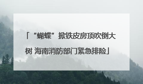 “蝴蝶”掀铁皮房顶吹倒大树 海南消防部门紧急排险