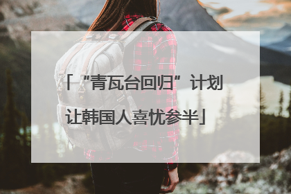“青瓦台回归”计划让韩国人喜忧参半